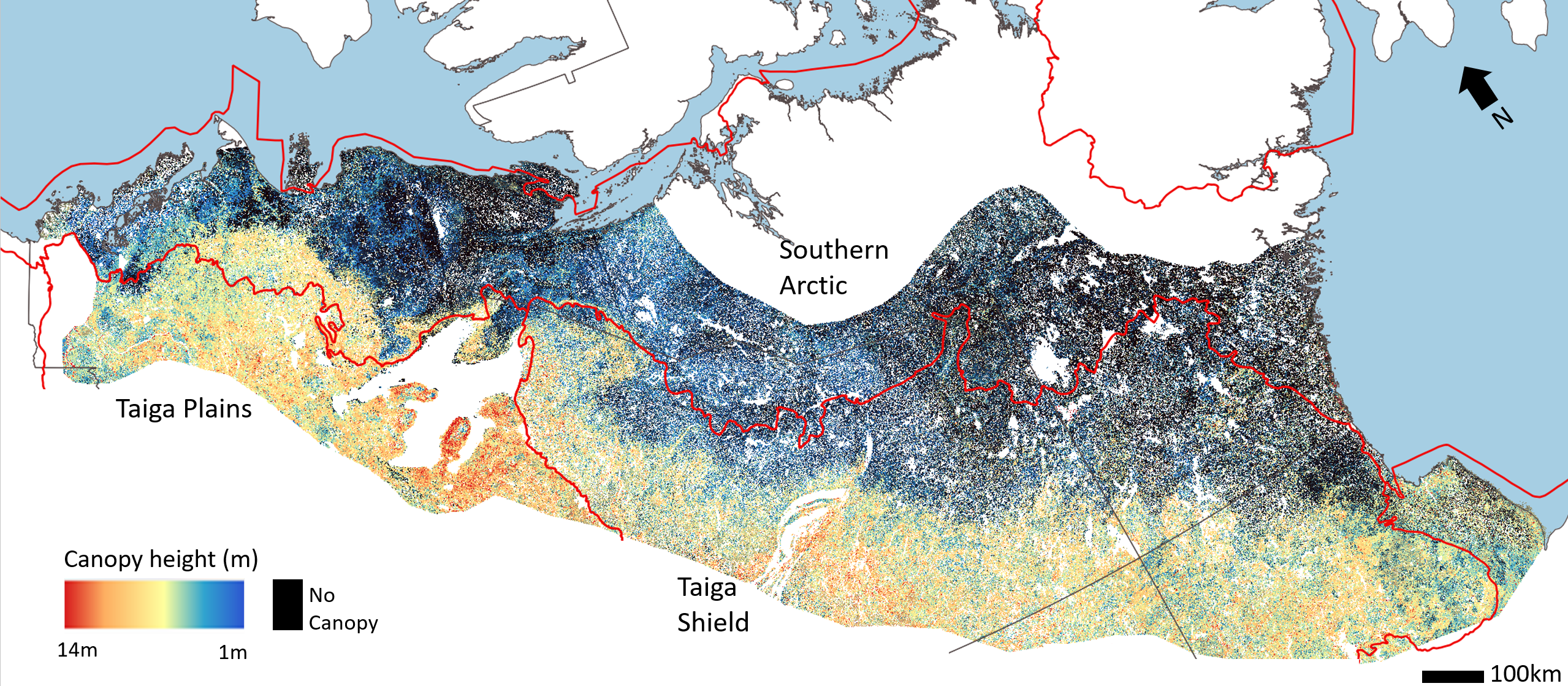 Map of canopy height across northern Canada generated using satellite imagery.